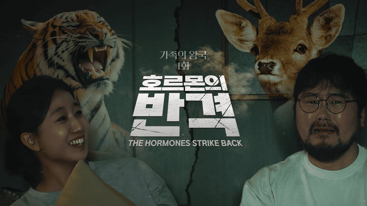 롯데건설